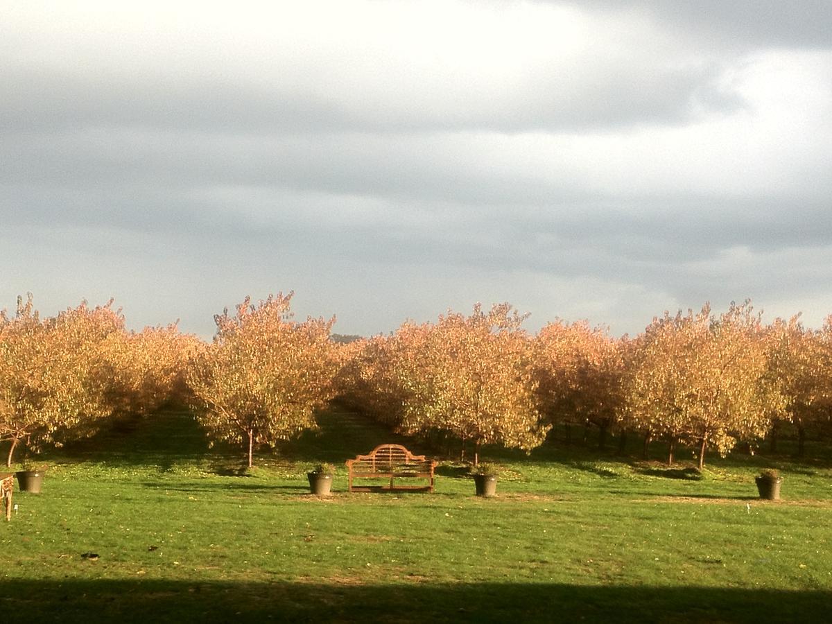 Bed and Breakfast The Orchard Croft Boutique Country Retreat à Jordan Extérieur photo