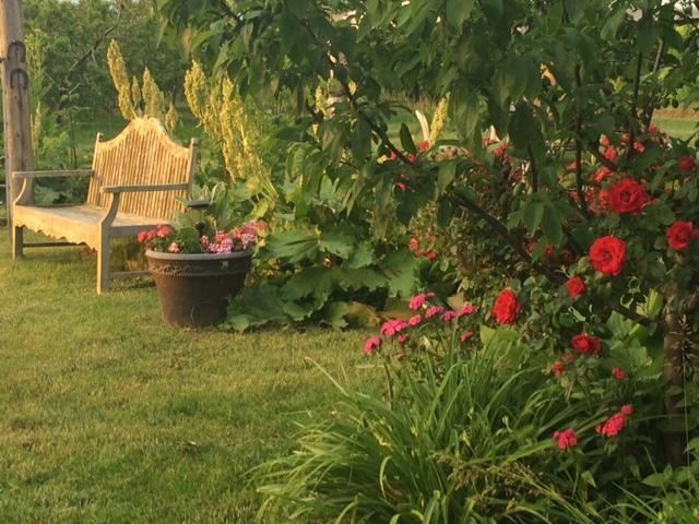 Bed and Breakfast The Orchard Croft Boutique Country Retreat à Jordan Extérieur photo