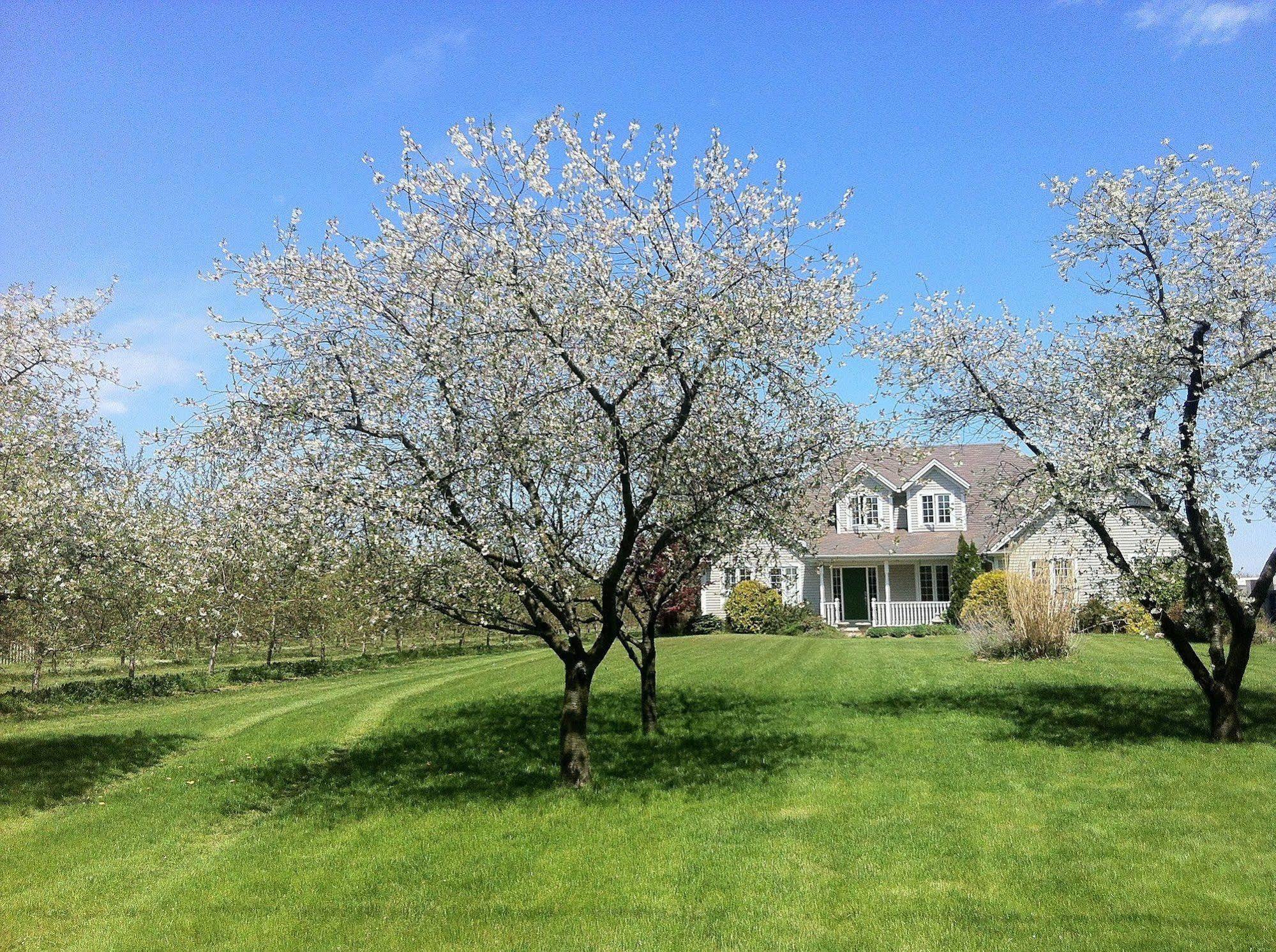 Bed and Breakfast The Orchard Croft Boutique Country Retreat à Jordan Extérieur photo